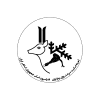 Ice Logo