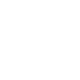 Sfly Logo-min